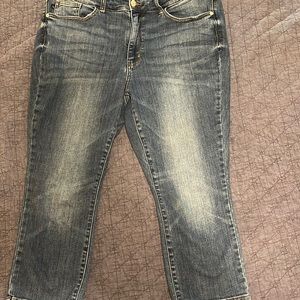 Judy Blue Skinny fit Capris size 16W